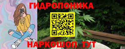 прущие грибы Гусь-Хрустальный
