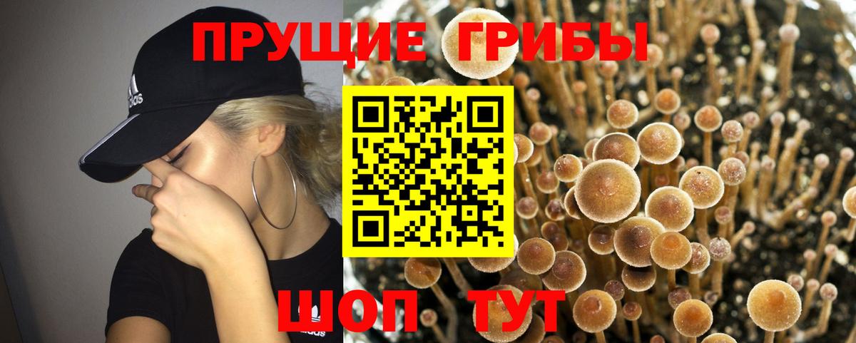 Псилоцибиновые грибы Magic Shrooms Мариинск
